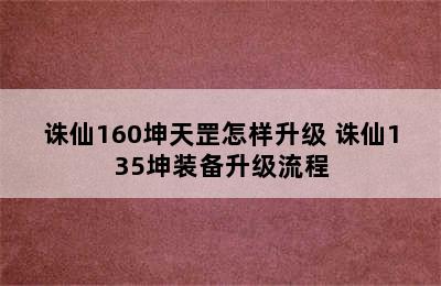 诛仙160坤天罡怎样升级 诛仙135坤装备升级流程